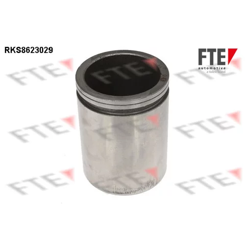 Piest brzdového strmeňa RKS8623029 /FTE/