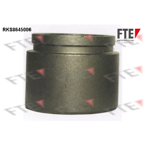 Piest brzdového strmeňa RKS8645006 /FTE/