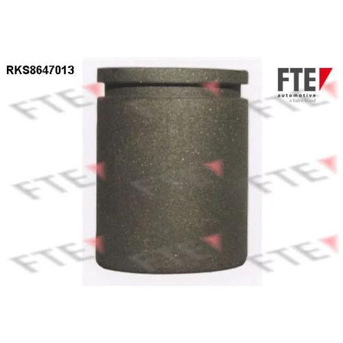 Piest brzdového strmeňa RKS8647013 /FTE/