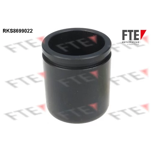 Piest brzdového strmeňa RKS8699022 /FTE/