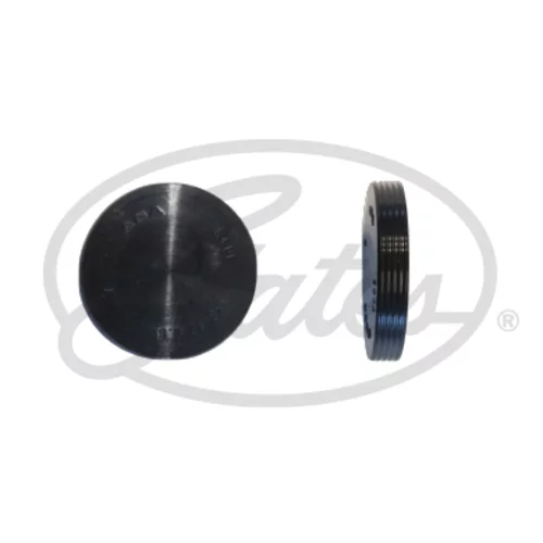 Záslepky montážnych otvorov  hriadeľa vahadla Z80706 /GATES/