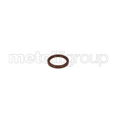 Tesniaci krúžok kľukového hriadeľa Oilseal9 /GRAF/