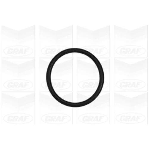 Vodné čerpadlo, chladenie motora PA985 /GRAF/ - obr. 1