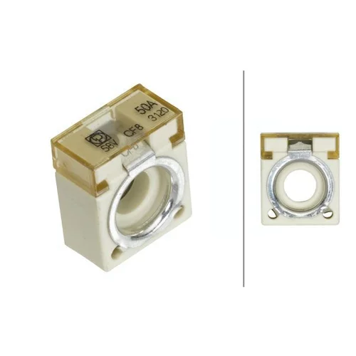 Poistka HELLA 8JS 747 876-001