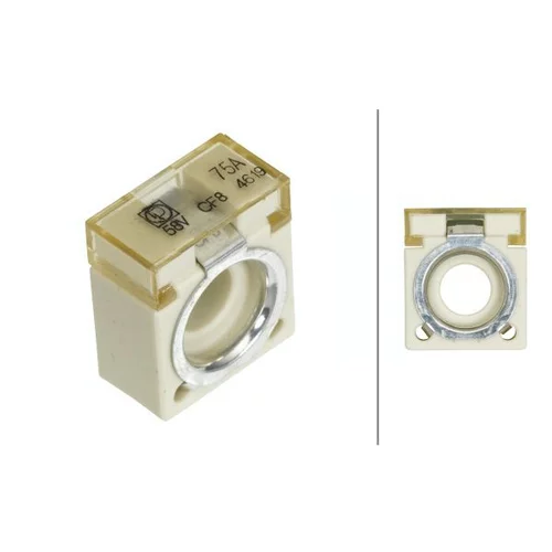 Poistka HELLA 8JS 747 876-011
