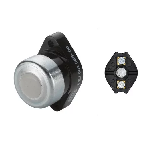 Spínač 6EJ 001 569-001 /HELLA/