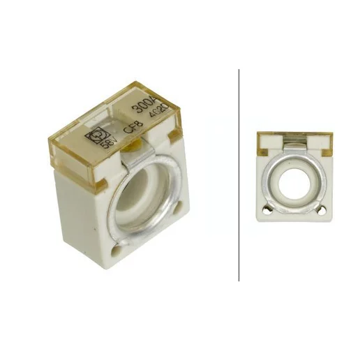 Poistka HELLA 8JS 747 876-081