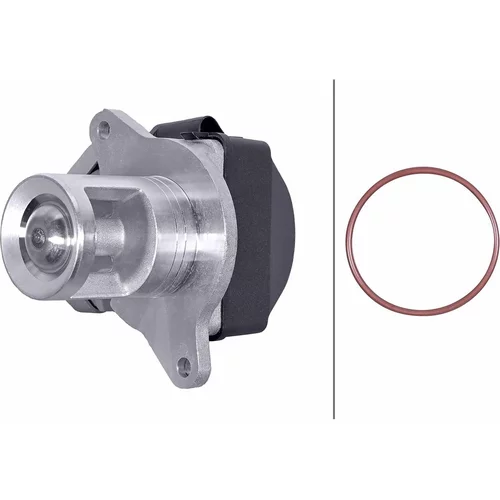 EGR ventil HELLA 6NU 014 862-091