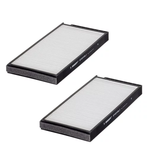Filter vnútorného priestoru HENGST FILTER E4949LI-2