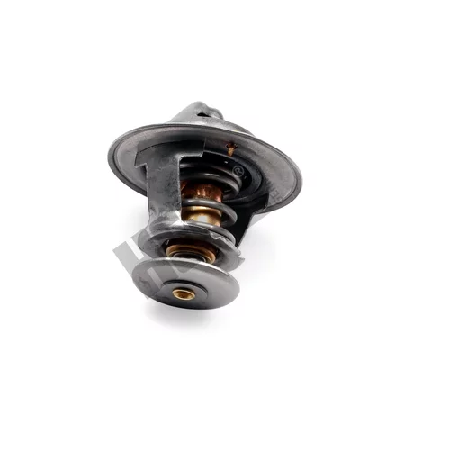Termostat chladenia TM1317 /HEPU/ - obr. 1