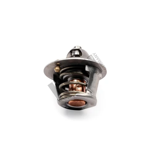 Termostat chladenia TM1321 /HEPU/ - obr. 1