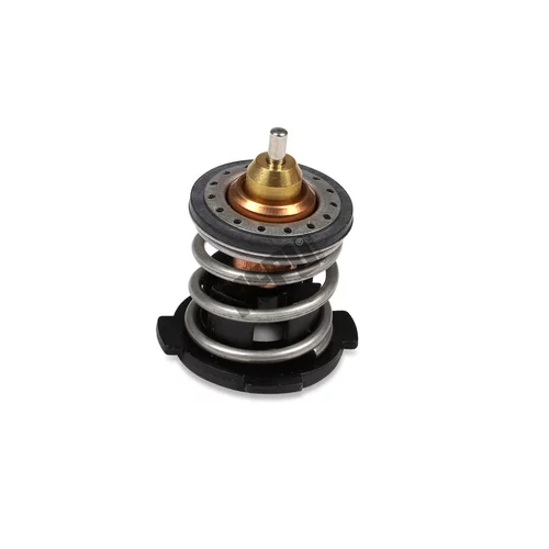 Termostat chladenia HEPU TM1242