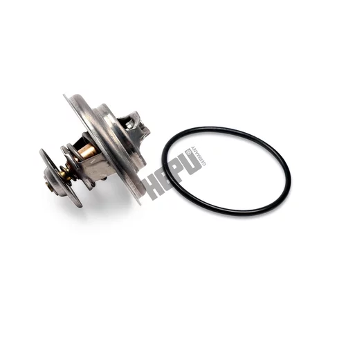 Termostat chladenia HEPU TM1295