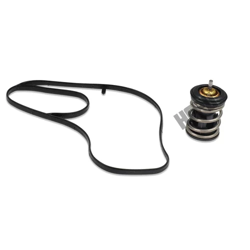 Termostat chladenia TM1244 /HEPU/ - obr. 1