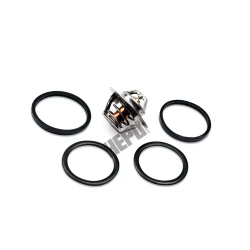 Termostat chladenia HEPU TM1291