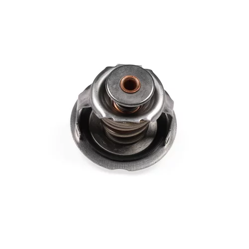 Termostat chladenia TM1004 /HEPU/ - obr. 1