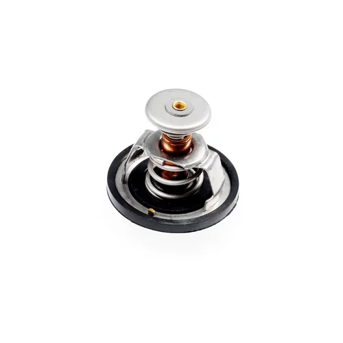 Termostat chladenia TM1424 /HEPU/ - obr. 1