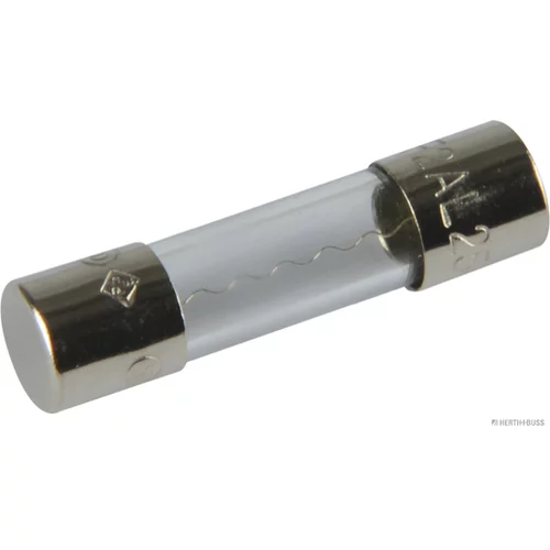 Poistka HERTH+BUSS ELPARTS 50295050
