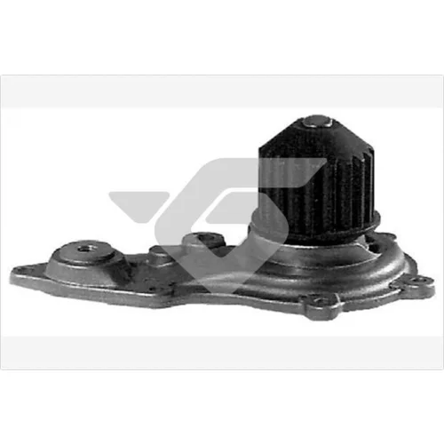 Vodné čerpadlo, chladenie motora WP300 /HUTCHINSON/