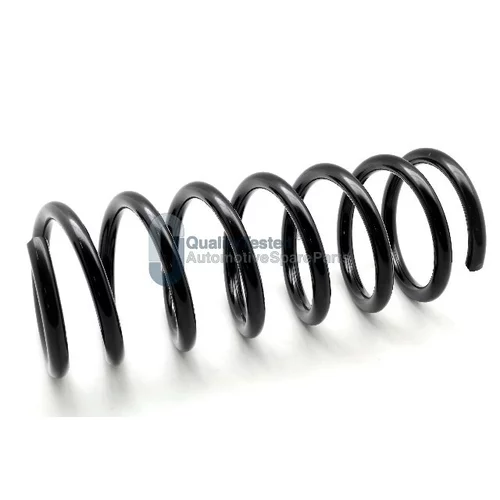 Pružina podvozku JAPANPARTS ZCQ6669A