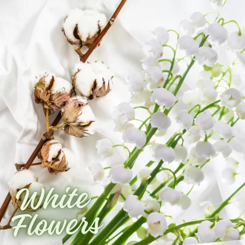 CAYON WHITE FLOWERS 250ml /K2/ - obr. 1