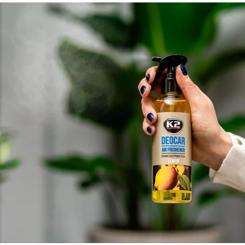 CAYON LEMON 250ml /K2/ - obr. 2