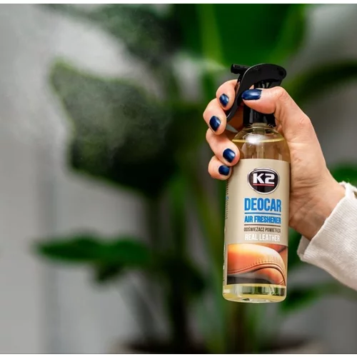 CAYON PRAVÁ KOŽA 250ml /K2/ - obr. 2