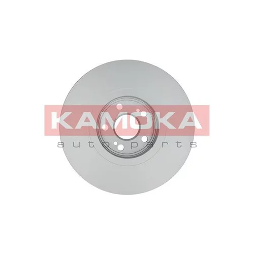 Brzdový kotúč 1031020 /KAMOKA/ - obr. 1
