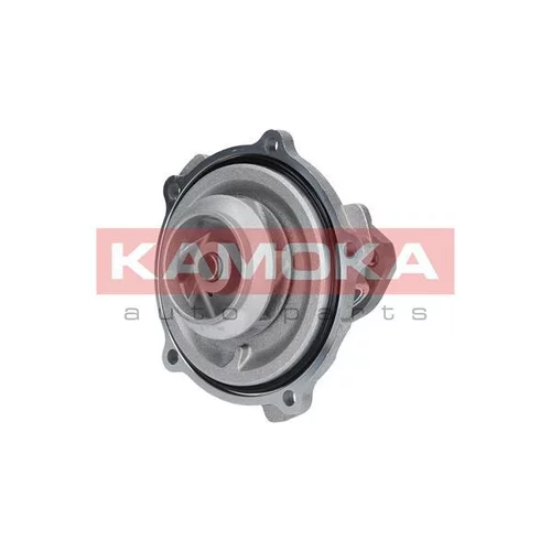 Vodné čerpadlo, chladenie motora T0038 /KAMOKA/ - obr. 1