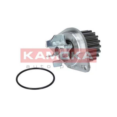 Vodné čerpadlo, chladenie motora T0089 /KAMOKA/ - obr. 1