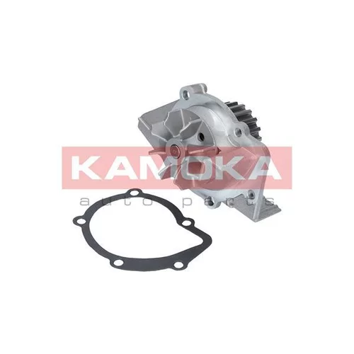 Vodné čerpadlo, chladenie motora T0095 /KAMOKA/ - obr. 1
