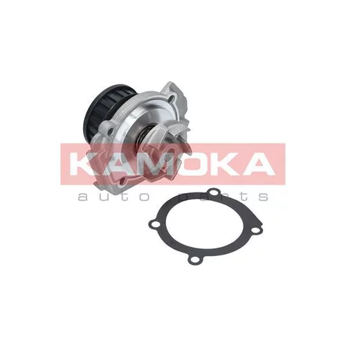Vodné čerpadlo, chladenie motora T0117 /KAMOKA/ - obr. 1