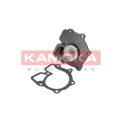 Vodné čerpadlo, chladenie motora T0143 /KAMOKA/ - obr. 1