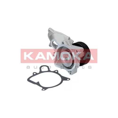 Vodné čerpadlo, chladenie motora T0173 /KAMOKA/ - obr. 1