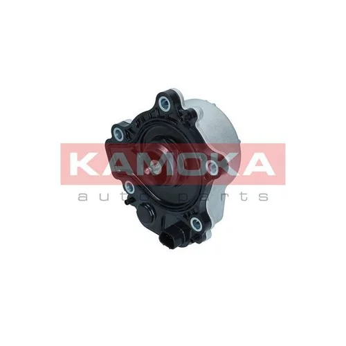 Vodné čerpadlo, chladenie motora T9005 /KAMOKA/ - obr. 1