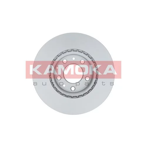 Brzdový kotúč 1031087 /KAMOKA/ - obr. 1