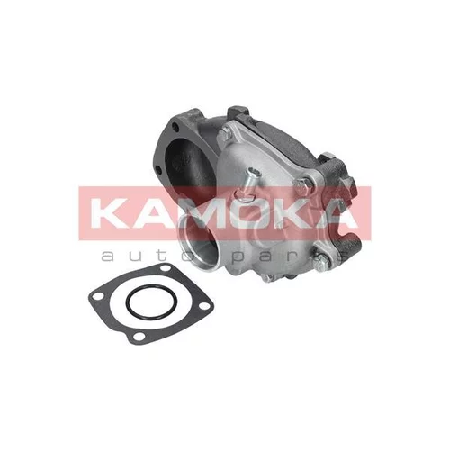 Vodné čerpadlo, chladenie motora T0125 /KAMOKA/ - obr. 1