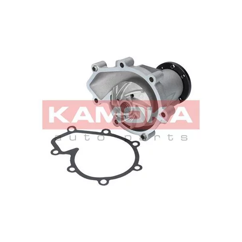 Vodné čerpadlo, chladenie motora T0181 /KAMOKA/ - obr. 1