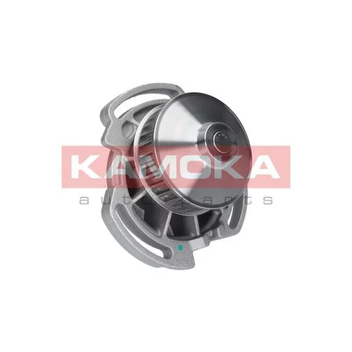 Vodné čerpadlo, chladenie motora T0254 /KAMOKA/ - obr. 1
