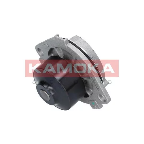 Vodné čerpadlo, chladenie motora T0113 /KAMOKA/ - obr. 1