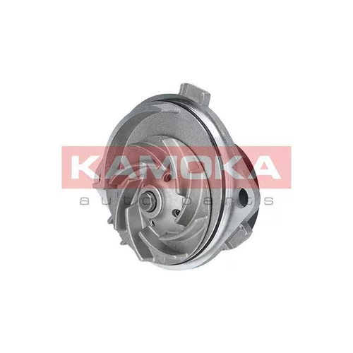 Vodné čerpadlo, chladenie motora T0113 /KAMOKA/ - obr. 3
