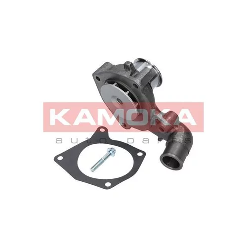Vodné čerpadlo, chladenie motora T0131 /KAMOKA/ - obr. 1