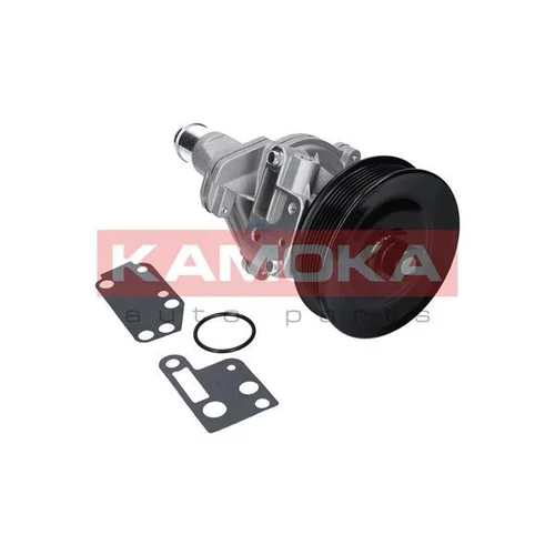 Vodné čerpadlo, chladenie motora T0142 /KAMOKA/ - obr. 1
