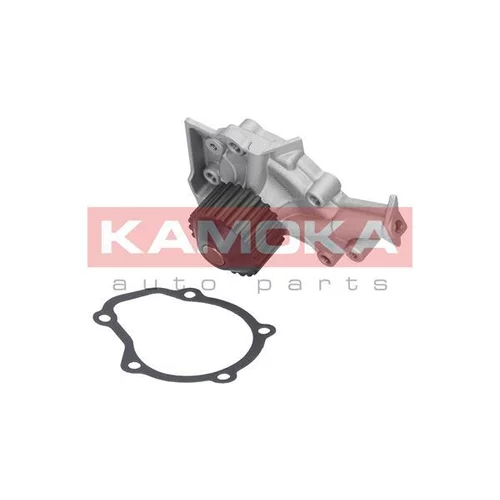 Vodné čerpadlo, chladenie motora T0065 /KAMOKA/ - obr. 1