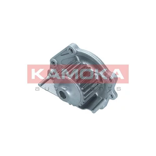 Vodné čerpadlo, chladenie motora T0174 /KAMOKA/ - obr. 2