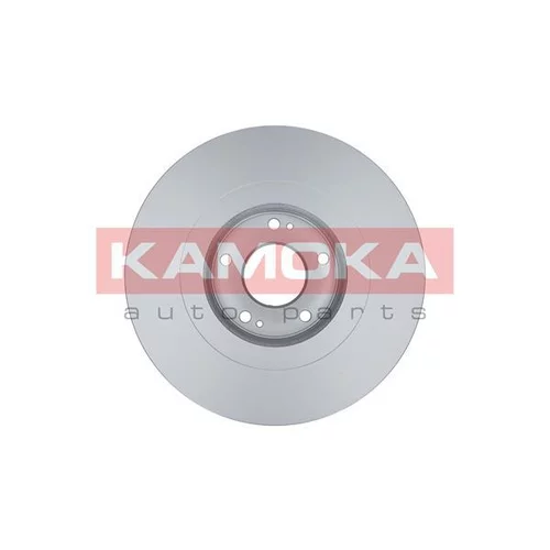 Brzdový kotúč 103291 /KAMOKA/ - obr. 1