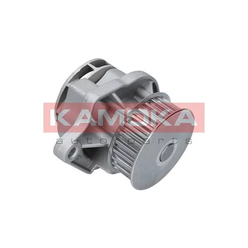Vodné čerpadlo, chladenie motora T0248 /KAMOKA/ - obr. 1