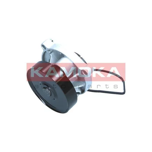 Vodné čerpadlo, chladenie motora T0299 /KAMOKA/ - obr. 3