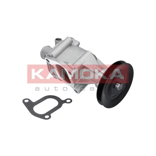 Vodné čerpadlo, chladenie motora T0116 /KAMOKA/ - obr. 1