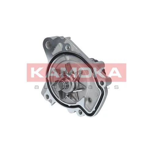 Vodné čerpadlo, chladenie motora T0148 /KAMOKA/ - obr. 1